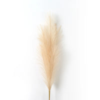 Pampa Artificielle Plumeau Souple, Tige de 90 ou 120 cm, 12 Coloris