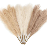 Pampa Artificielle 55 cm, Lot de 6, 12 ou 15 Tiges, vue d'ensemble