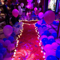 Pétales de Rose Artificiels, vue complémentaire 2