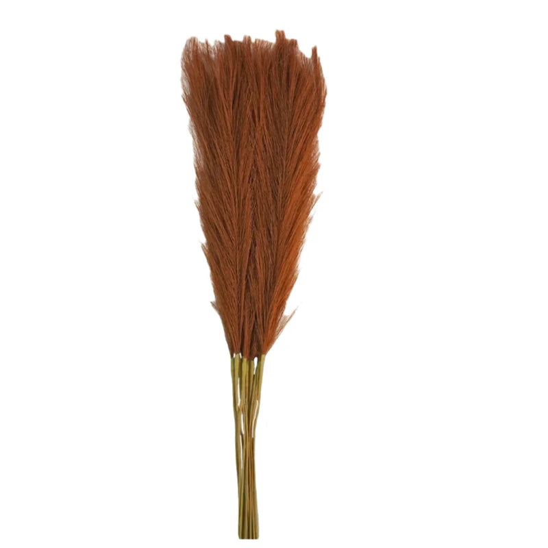 Pampa Artificielle Orange, Caramel et Abricot, 10 tiges caramel