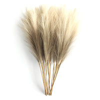 Pampa Artificielle 6 Tiges de 50 cm, Blanc, Beige ou Café, coloris café clair