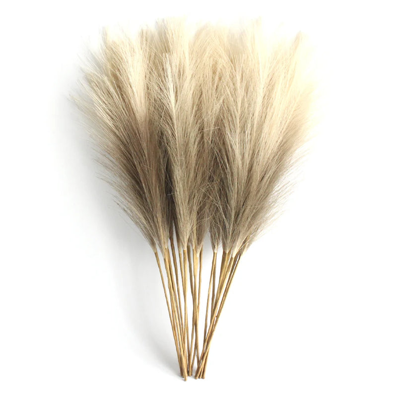 Pampa Artificielle 6 Tiges de 50 cm, Blanc, Beige ou Café, coloris café clair