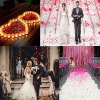 Pétales de Rose Artificiels, vue complémentaire 6