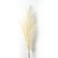 Pampa Artificielle Plumeau Souple, Tige de 90 ou 120 cm, 12 Coloris