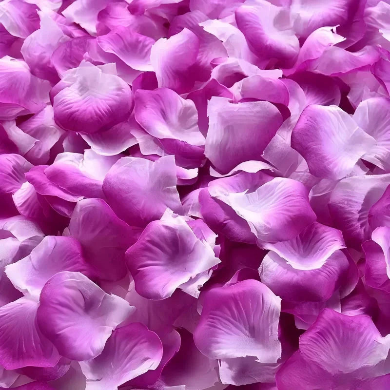 Pétales de Rose Artificielles de Mariage, 100 à 2000 Pétales, coloris violet et blanc