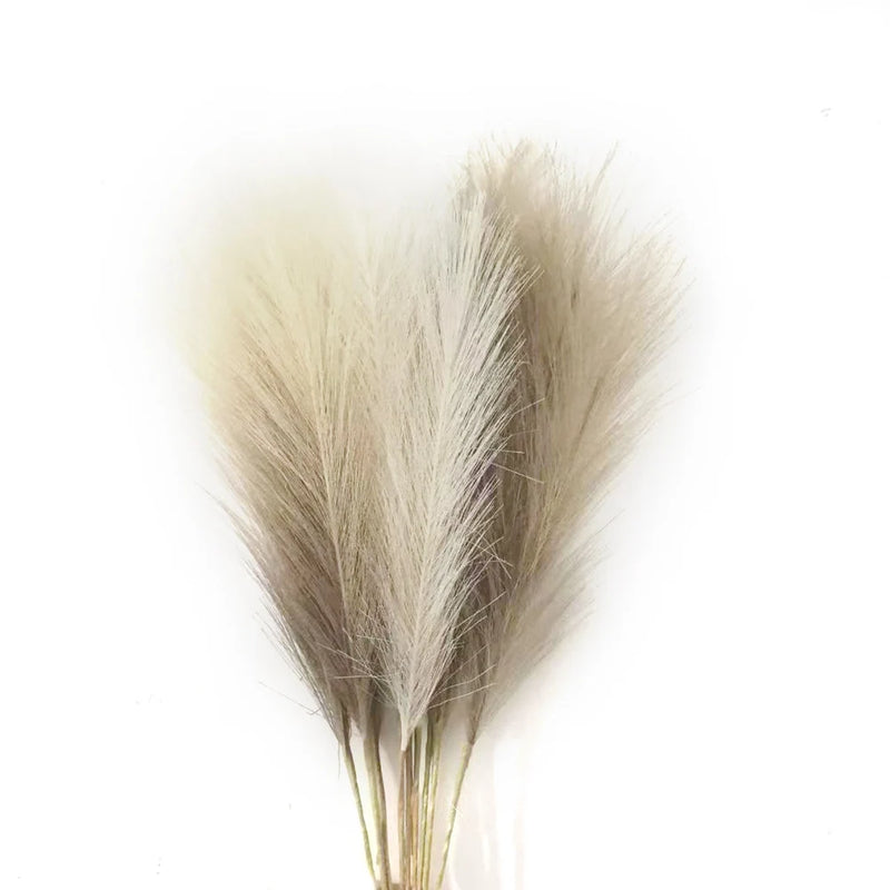 Pampa Artificielle 6 Tiges de 50 cm, Blanc, Beige ou Café, coloris mélange de 3 couleurs