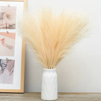 Pampa Artificielle 20 Tiges de 55 cm, Blanc, Beige ou Orange, vue complémentaire 5