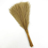 Pampa Artificielle 10 Tiges de 55 cm, coloris caramel