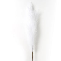 Pampa Artificielle Plumeau Souple, Tige de 90 ou 120 cm, 12 Coloris