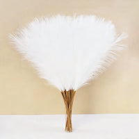 Pampa Artificielle 10 Tiges de 55 cm, coloris blanc
