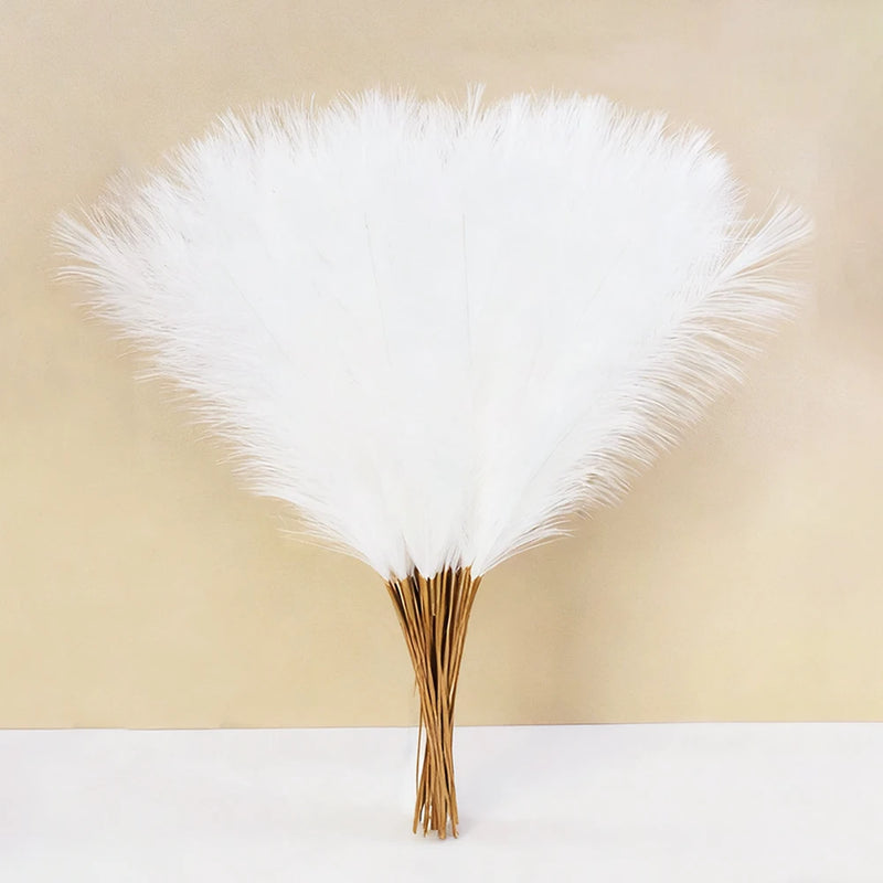 Pampa Artificielle 10 Tiges de 55 cm, coloris blanc