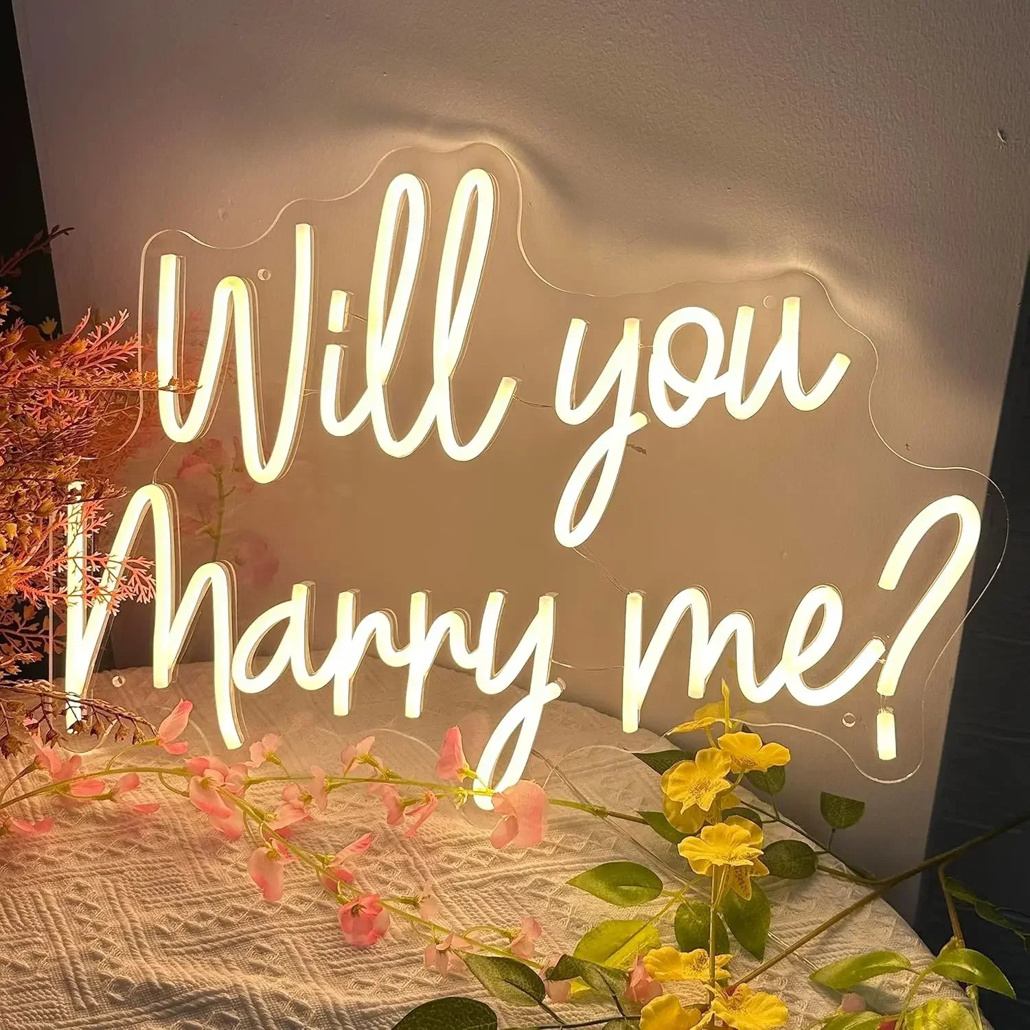 Néon Manuscrit « Will You Marry Me ? », vue d'ensemble
