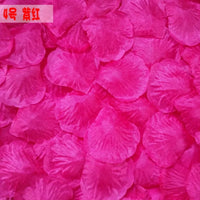 Pétales de Rose Artificiels en Tissu, vue complémentaire 5