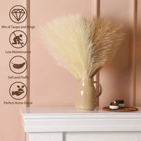 Pampa Artificielle Décorative, 10, 15 ou 20 Tiges de 36 cm, vue complémentaire 3