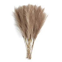 Pampa Artificielle 6 Tiges de 50 cm, Blanc, Beige ou Café, coloris café