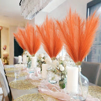 Pampa Artificielle 20 Tiges de 55 cm, Blanc, Beige ou Orange, vue complémentaire 2