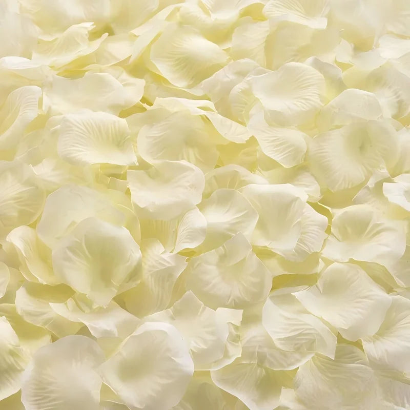 Pétales de Rose Artificielles de Mariage, 100 à 2000 Pétales, coloris ivoire