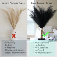 Pampa Artificielle Noire, Lot de 10 Tiges de 55 cm, vue complémentaire 3